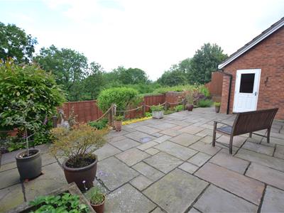 Picture 20